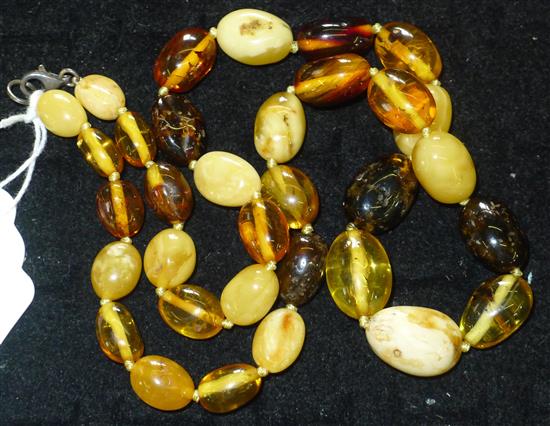 Single strand multi coloured amber bead necklace, 20in.(-)
